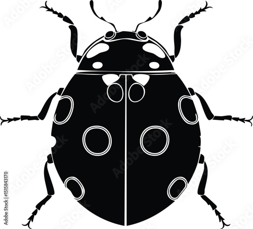 Ladybug Insect Bug Silhouette