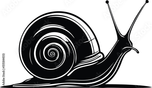 Snail Outline Vector Illustration