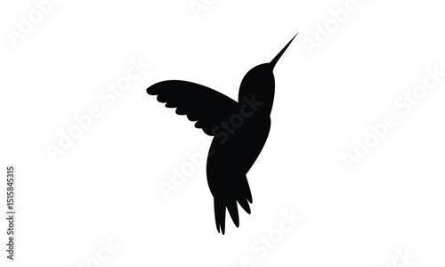 Flying Allen's hummingbird Silhouette Design  And Vector Illustration. 