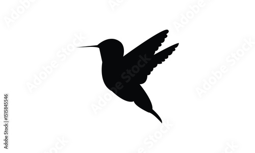 Flying Allen's hummingbird Silhouette Design  And Vector Illustration. 
