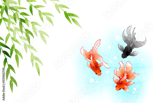 暑中見舞いはがき、琉金、柳、かわいい、イラスト、横