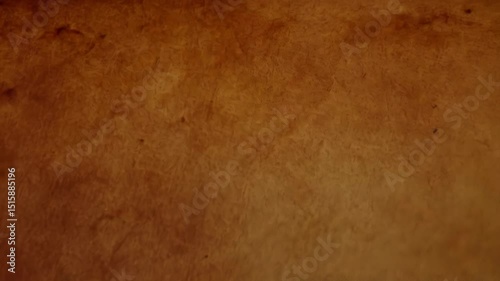 Textured parchment paper background with aged tan tones perfect for vintage designs or antique presentations.