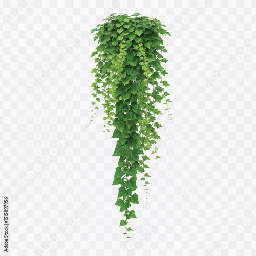 realistic green creeper in different style isolated on a transparent background