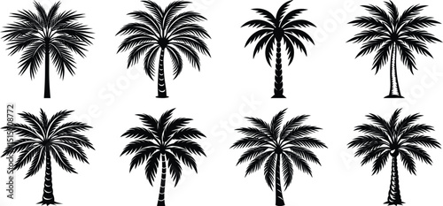 set of palm trees icon