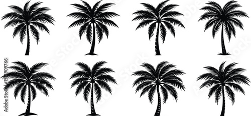 palm trees silhouettes