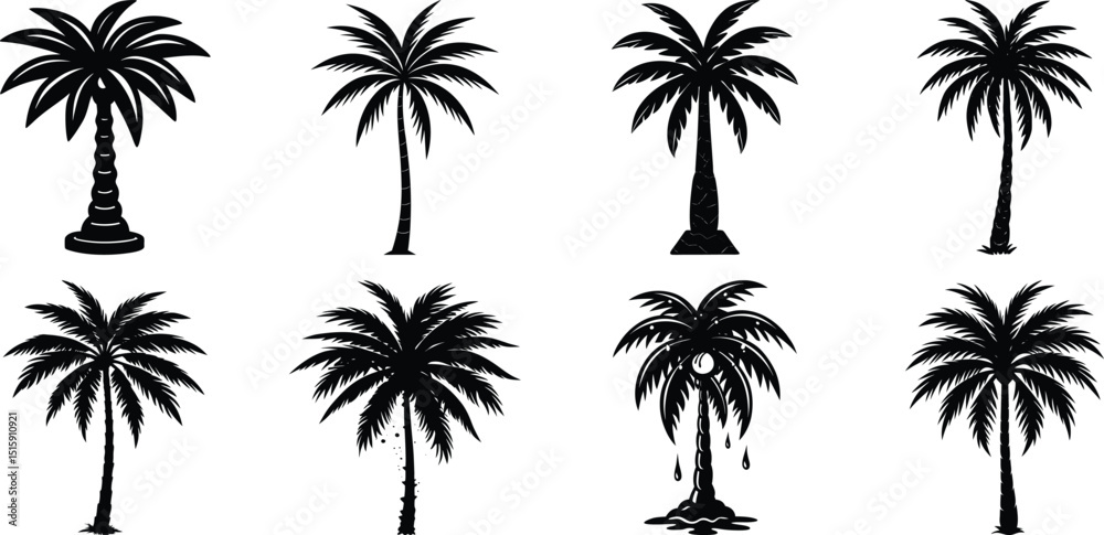 Palm Tree Silhouette Icon White Background Palm Tree Silhouette Icon White Background