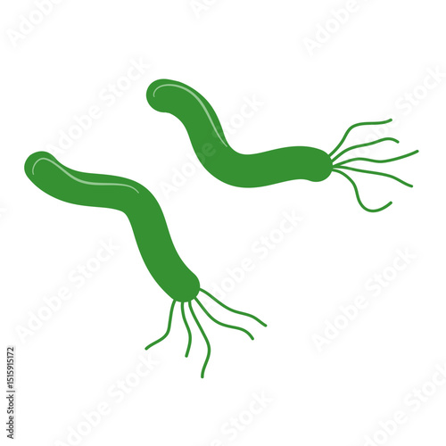 Helicobacter Pylori Illustration