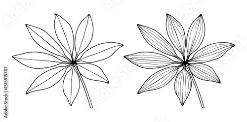 Hand drawn outlines of tropical plant leaves of unusual shape isolated on white background