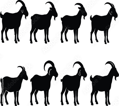 Many goat silhouettes in black and white flat isolated on white background