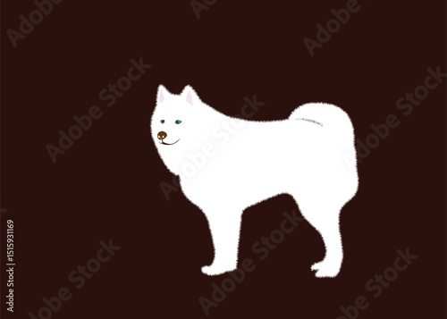 White Siberian Husky Illustration. Vector Illustration.