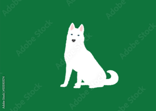 White Siberian Husky Illustration. Vector Illustration.