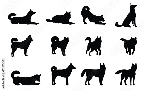 Awesome set of Siberian Husky silhouettes in different poses, isolated background. Vector illustration.