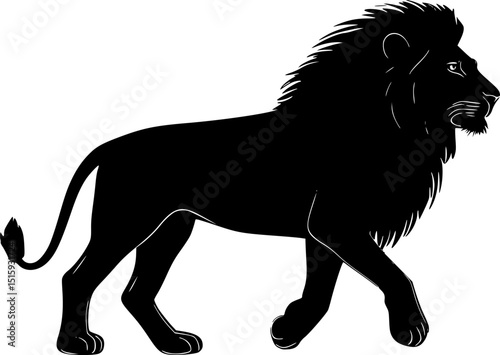 Lion walking black silhouette vector