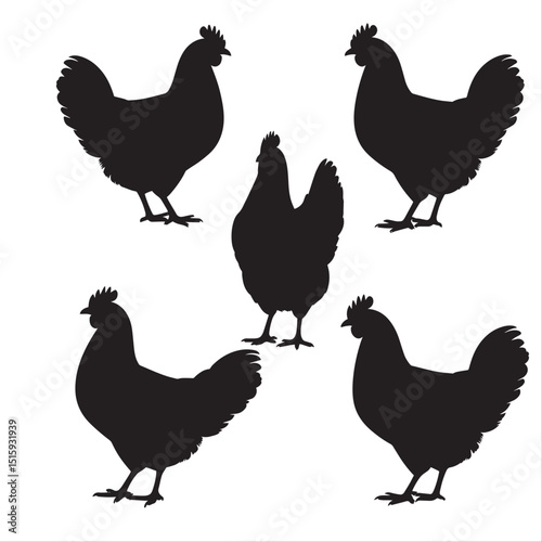 silhouette chicken