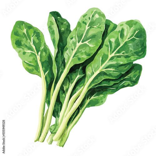 Vibrant Watercolor Bunch of Fresh Chard Leaves