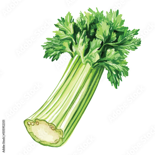 Vibrant Watercolor Celery Stalk with Lush Green Leaves