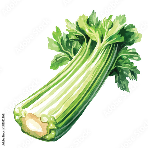 Vibrant Watercolor Celery Stalks with Detailed Leaves