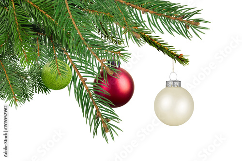 Obraz na plátně Decorated christmas tree branch with baubles, isolated background
