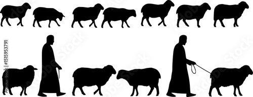 silhouette illustration of muslim man walks with sheep for eid al adha sacrifice
