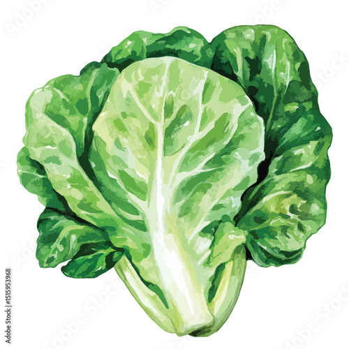 Vibrant Watercolor Depiction of a Fresh Lettuce Leaf