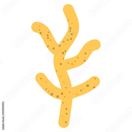 Flat Coral Reef