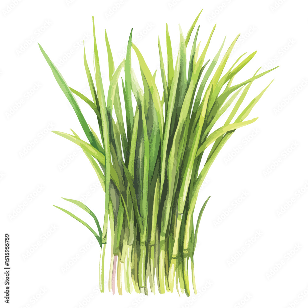 Vibrant Watercolor Depiction of Lush Grass Blades Vibrant Watercolor Depiction of Lush Grass Blades