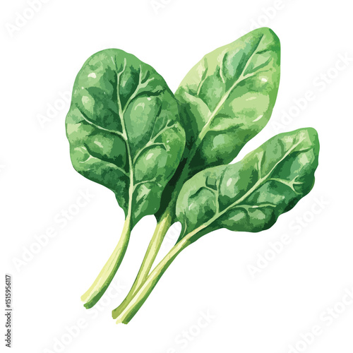 Vibrant Watercolor Depiction of Spinach Leaves