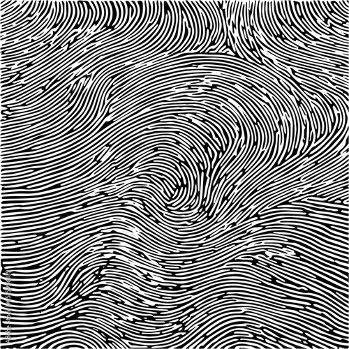 Monochrome fingerprint texture, detailed abstract biometric pattern