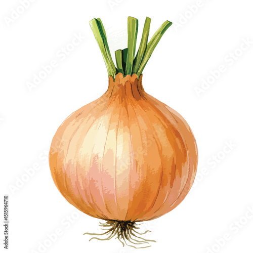 Vibrant Watercolor Illustration of a Single Onion with Roots and Green Shoots