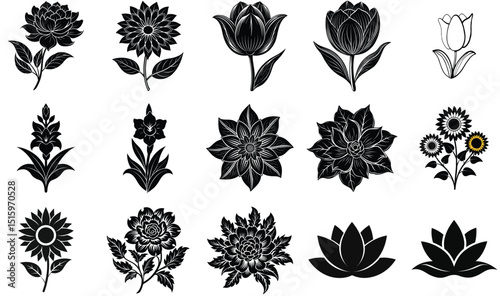 Elegant black and white floral design elements for various creative projects