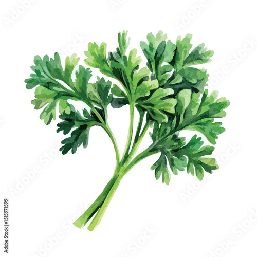Vibrant Watercolor Parsley Sprig with Detailed Leaf Structure