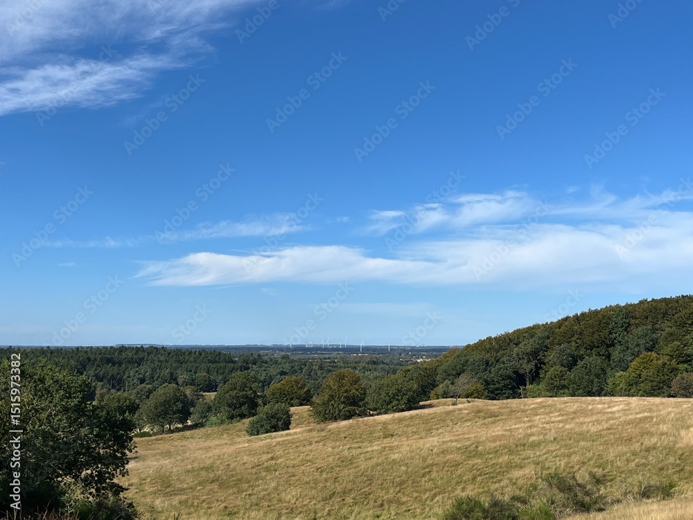 Fototapeta premium landscape with trees and clouds
