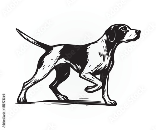 pointer dog graphic design, duck hunting pointer dog vector illustration art