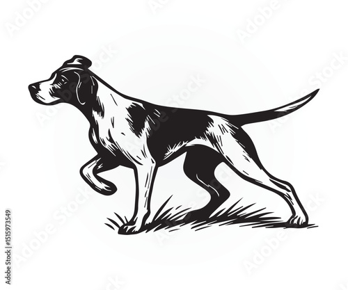 pointer dog graphic design, duck hunting pointer dog vector illustration art