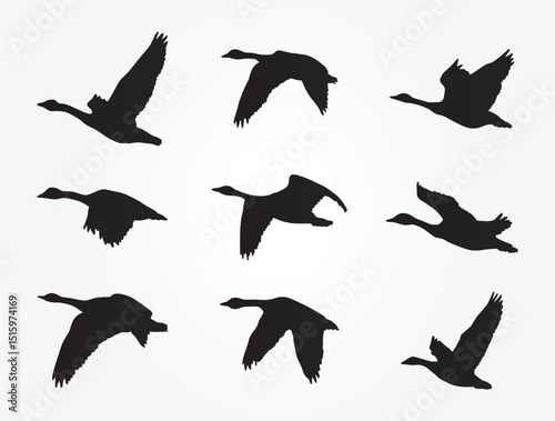 set of geese silhouettes, flying geese vector illustration