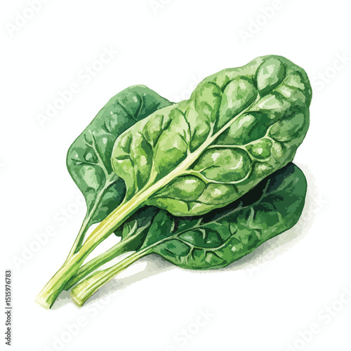 Vibrant Watercolor Spinach Leaves Fresh Green Veggies