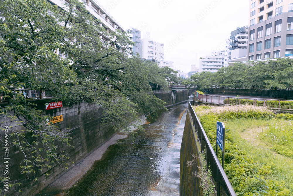 Fototapeta premium 일본 도쿄 메구고강의 풍경 The view of the Megugo River in Tokyo, Japan