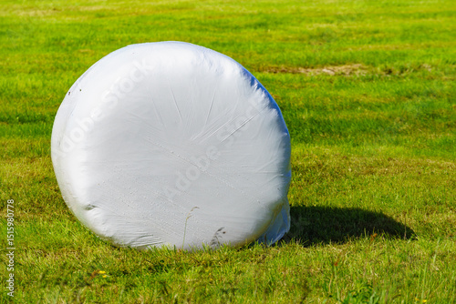 Bale of hay wrapped in plastic foil