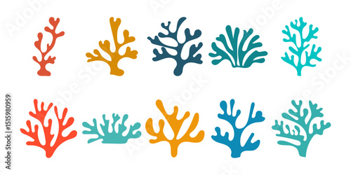 Flat Coral Reef