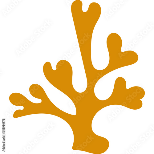 Flat Coral Reef