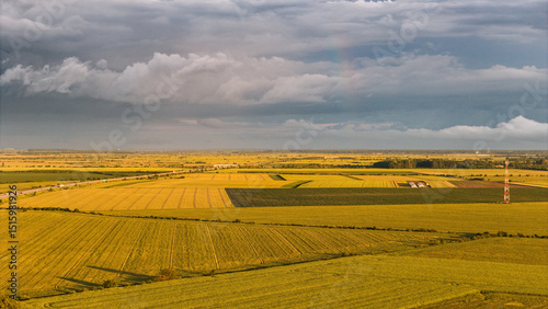 Golden Fields of Gherghița. An aerial view showcases the expansive golden fields in Gherghița, Prahova County, Romania. The vibrant yellow crops, likely rapeseed, stretch under a cloudy sky.