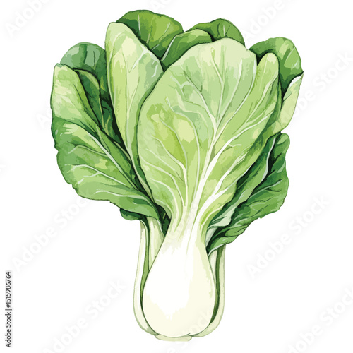 Watercolor Bok Choy Head with Textured Green Leaves and Pale Stalks