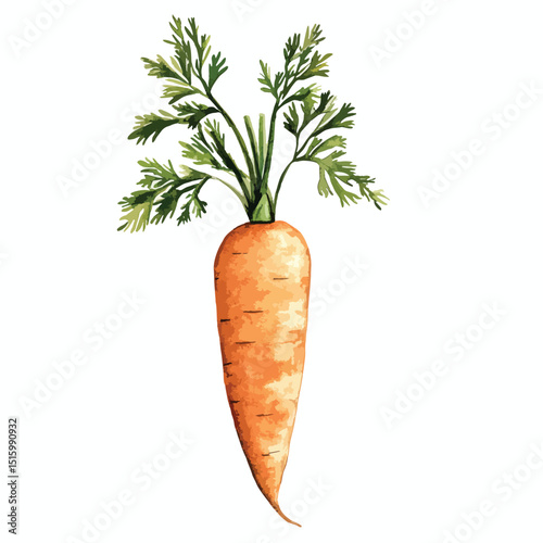 Watercolor Carrot with Lush Green Top Detailed Texture and Vibrant Orange Hue