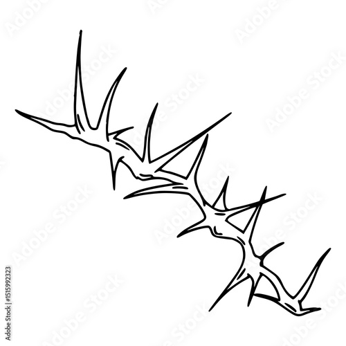 spiky vine outline illustration