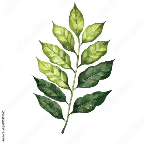 Watercolor depiction of a vibrant green leaf branch with detailed veining