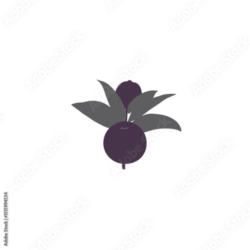 Two plums are surrounded by gray leaves on a white background, depicted in vector style