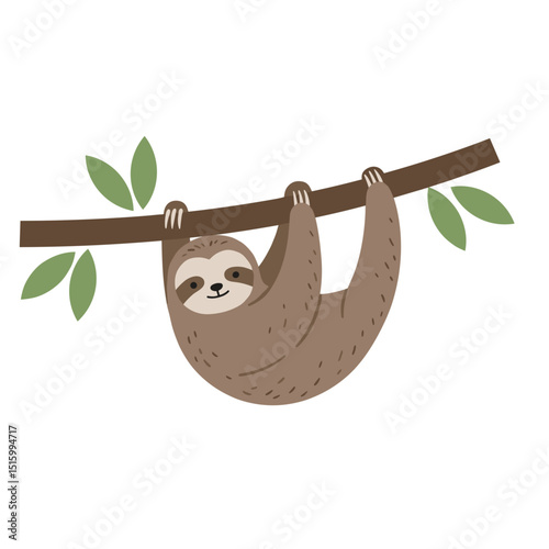 Hanging Sloth on Branch
