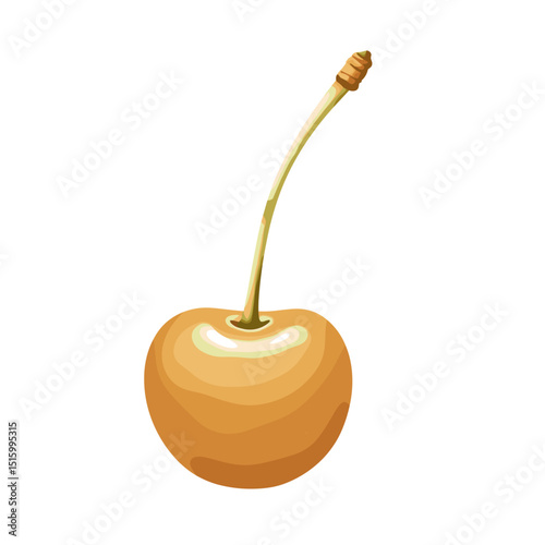 Vector illustration of a golden cherry and stem on an isolated white background