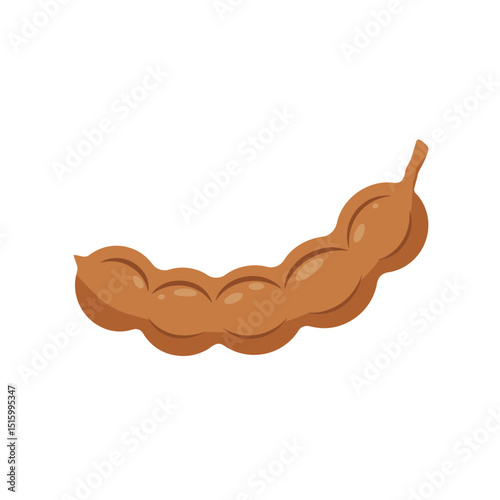 Illustration of a brown tamarind pod with a smooth texture against a white background
