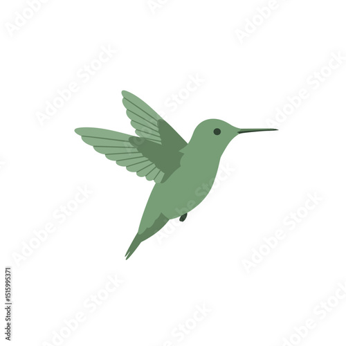 A vibrant green hummingbird hovering mid-air against a plain white background